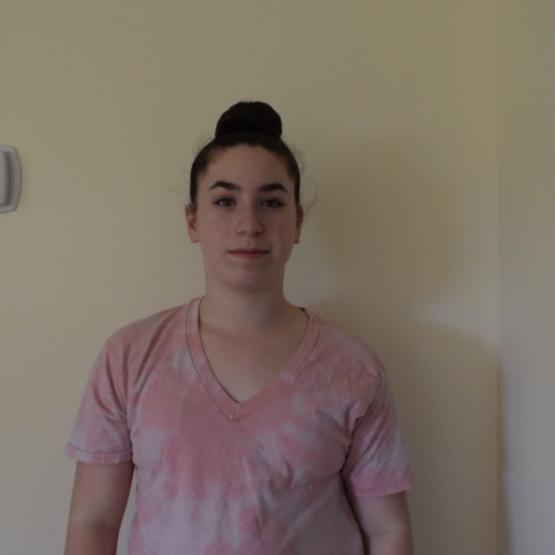 3.02 Describe Your Family Visual Presentation