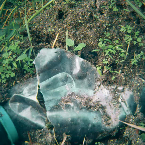 Protecting  the Environment Is Protecting  Ourselves and Our Community! 