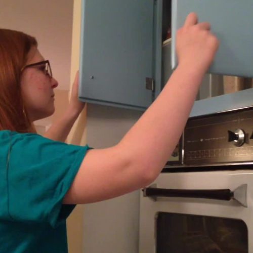 03.02 Describe the Family Visual Presentation