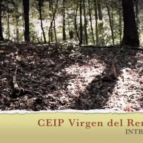 Halloween 6é CEIP L' Alguenya