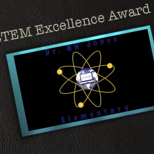STEM Excellence Award