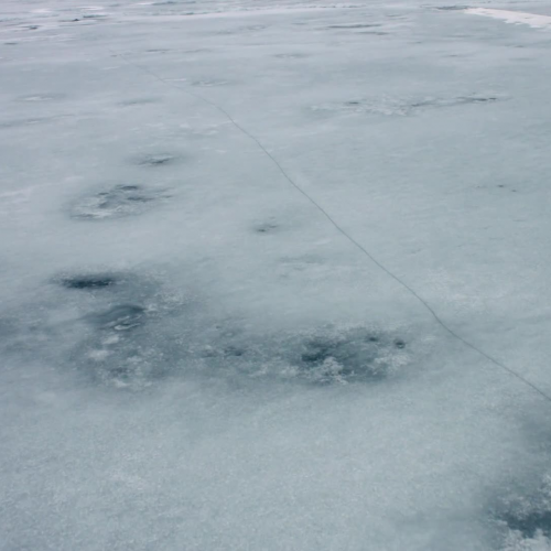 EVERYBODY DIES, BUT NOT EVERYBODY LIVES