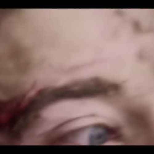 The Royal Dutch Guide Dog Foundation commercial for veteran dogs