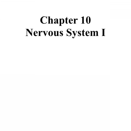 Introduction to the Nervous System