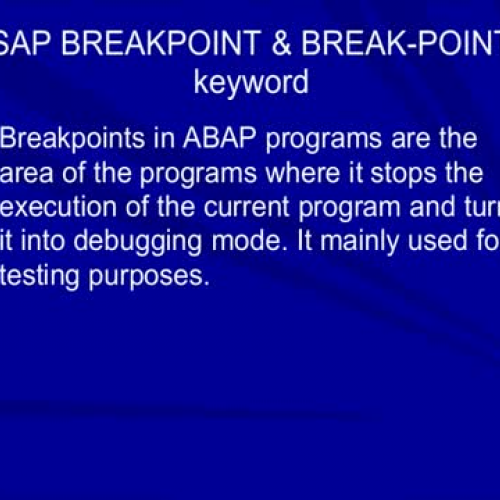 Details about SAP breakpoint
