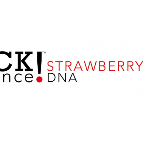 Strawberry DNA Lab