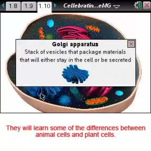 Cell-ebrating Life [Science Nspired Preview Video]