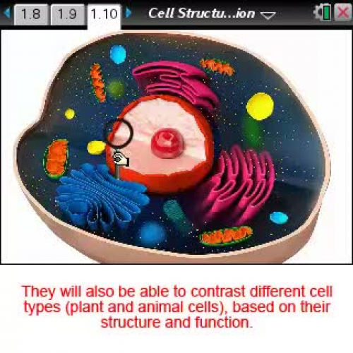 Cell Structure and Function [Science Nspired Preview Video]