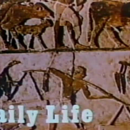 Daily Life in Ancient Egypt