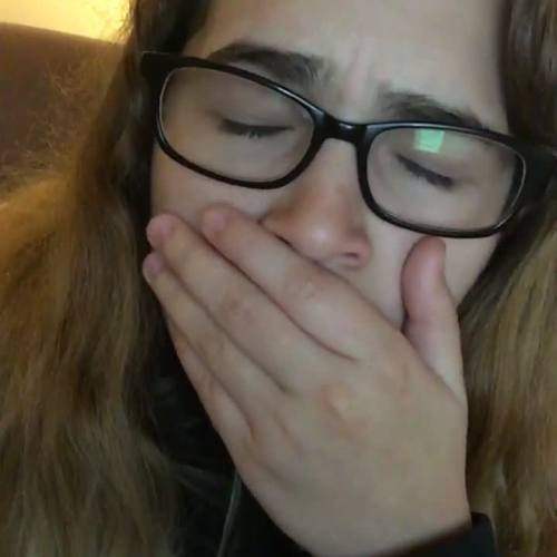 3.02 Describe the Family Visual Presentation