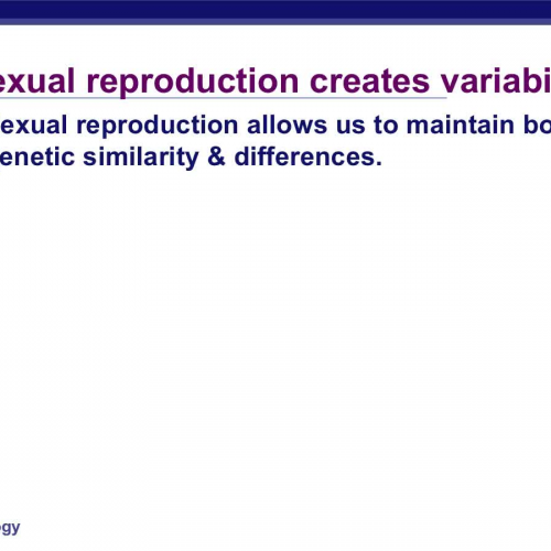 Genetic recombination and mitosis vs. meiosis