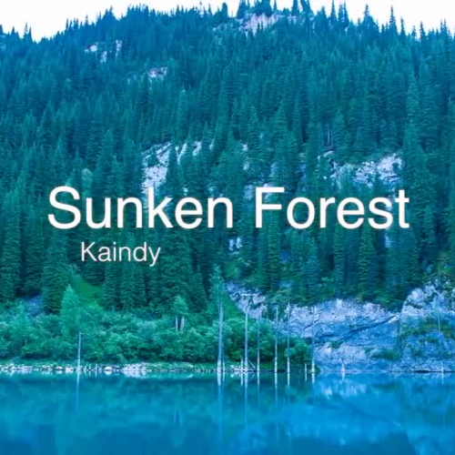 Sunken Forest