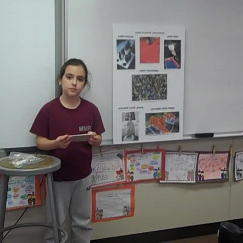 kitsa discovery quest