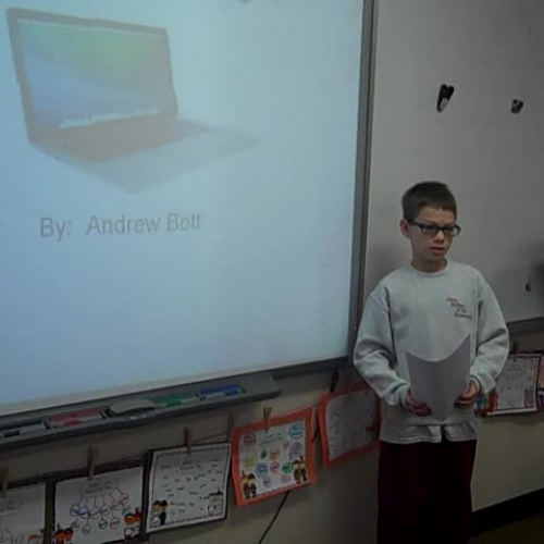 andrew discovery quest