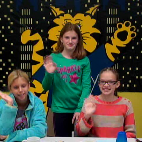 Thursday, November 17, 2016 - WVES Wildcat News