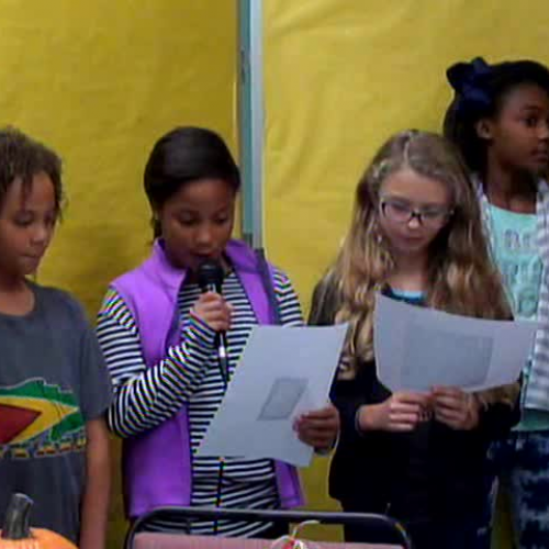 Friday, November 18, 2016 - WVES Wildcat News