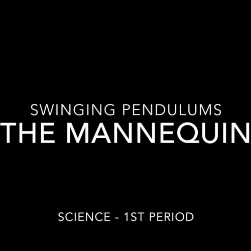 The Mannequin Challenge