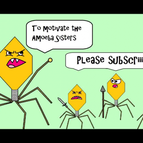 Viruses - The Amoeba Sisters