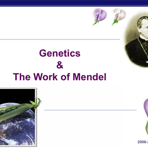 Mendel I