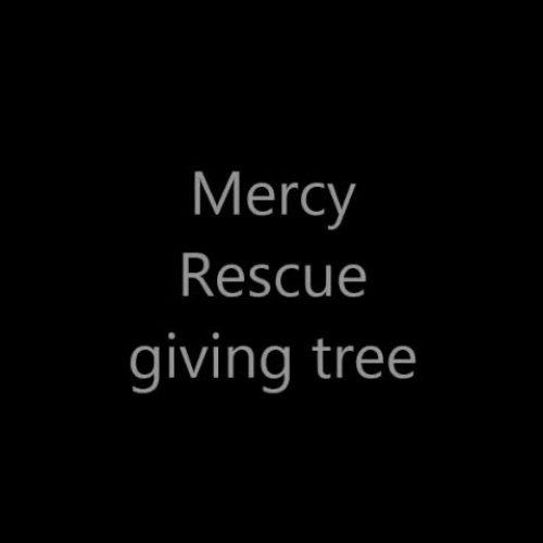 Mercy Rescue Giving Tree