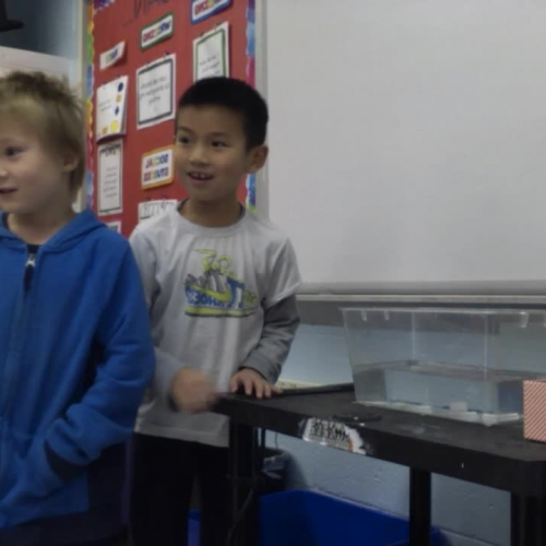 Building a Mayflower- 1st grade