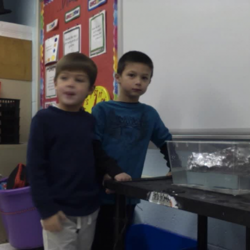 Building a Mayflower- 1st grade