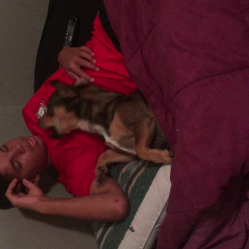 Describe the Family Visual Representation