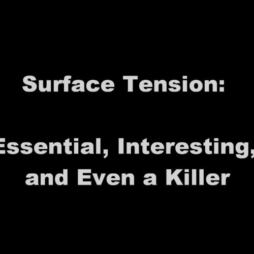 Surface Tension