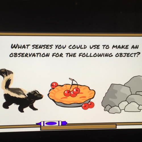 Science Lesson - 11/28