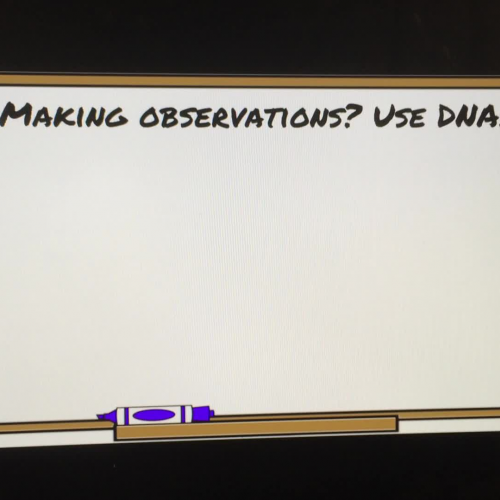 Science Lesson - 11/29