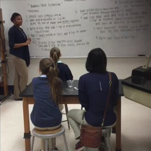 Banana DNA Lab Demonstration