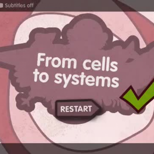 From Cells to Systems