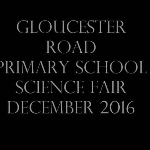 Gloucester Road Science Fair December 2016