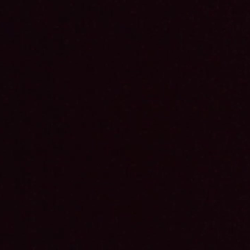 3.02 Presentation (2. Yo estoy alegre)