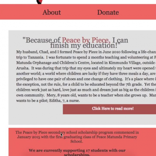 Webflow Charity Web Design