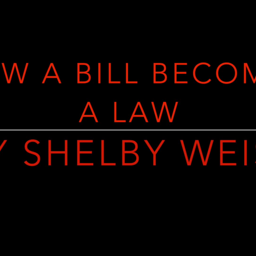 Digital Video Project EDTL 3020 Shelby Weiss