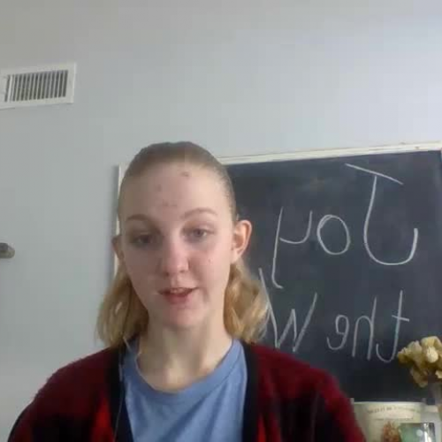 Spanish Video Assignment