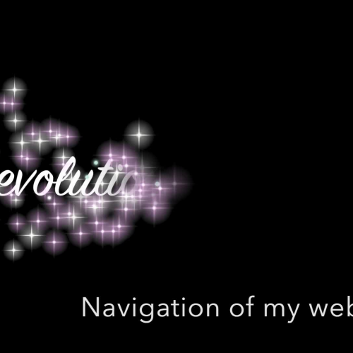 Website Navigation