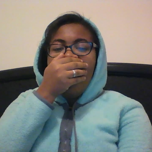 3.02  Describe the Family Visual Presentation