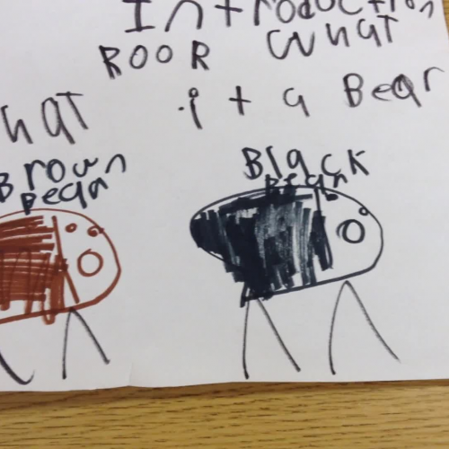 Bears by Mrs. Oliver's 1st graders