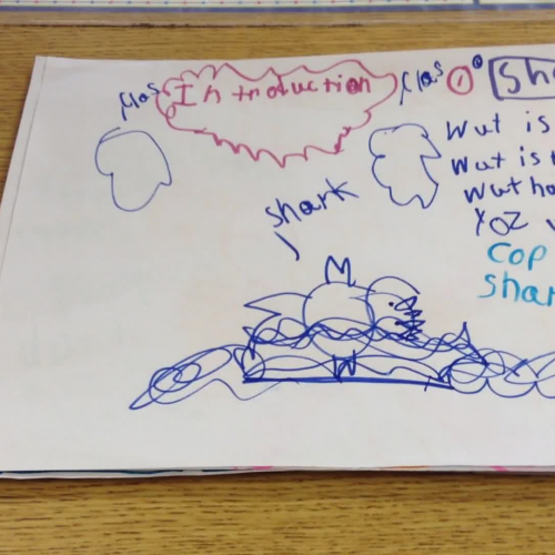 Sharks by Mrs. Oliver's 1st Graders