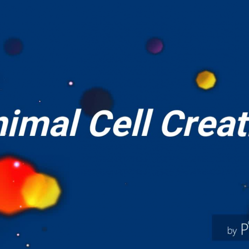 Animal Cell -Group video-EDLD 5363