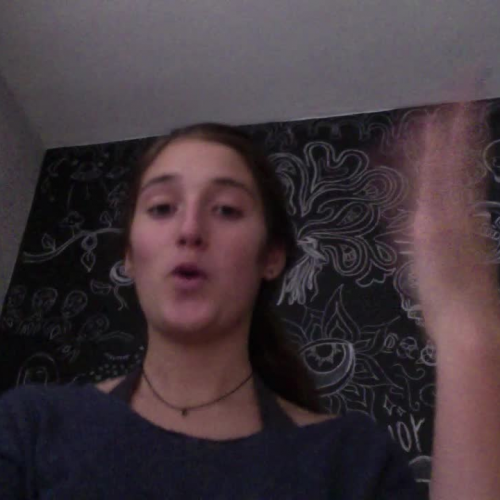 3.2 describe the family