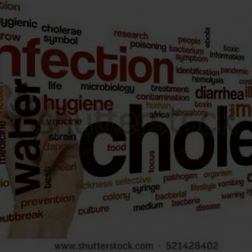 Public Service Health Announcement: Cholera