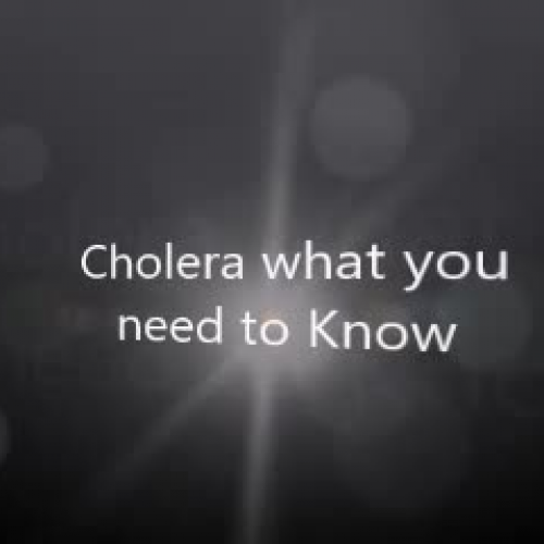 Week 5 Gail Johnson PSA Cholera What you need to know  Professor Angela Parker