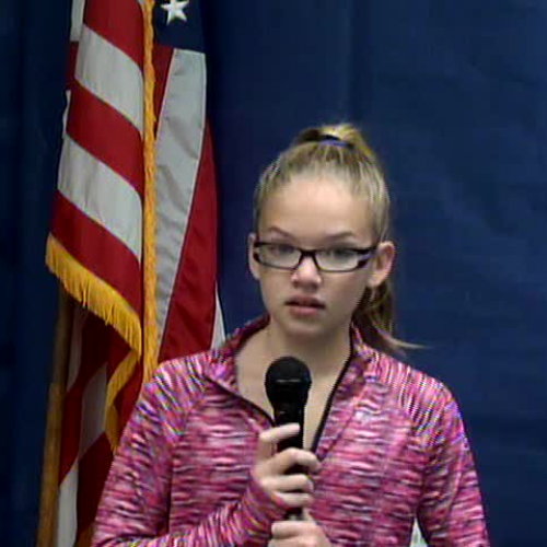 Thursday, December 15, 2016, WVES Wildcat News