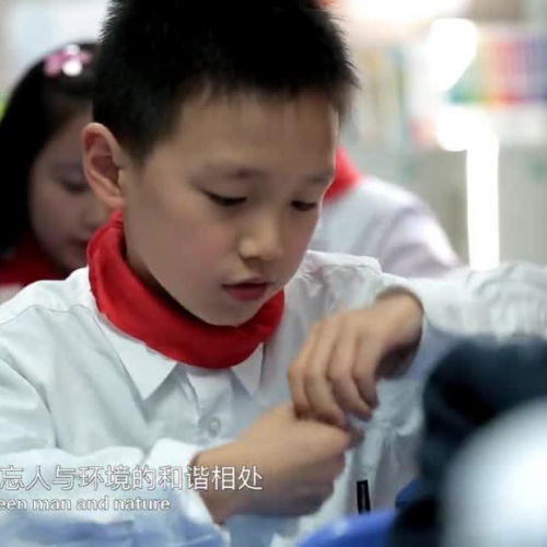 Penglai Town program