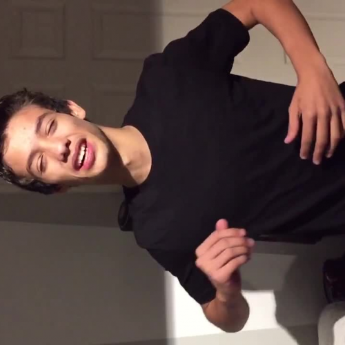 03.02 Describe the Family Visual Presentation - Tengo Sueño