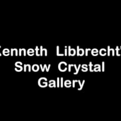 Kenneth Libbrecht's Snow Crystal Gallery