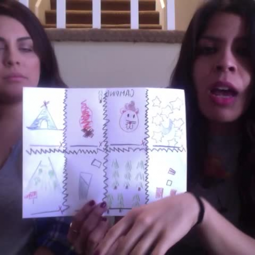 SDAIE Strategy  PICTURE THIS